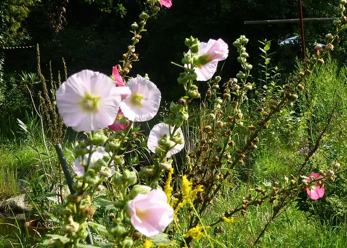 Villa-hufeland Апартаменты