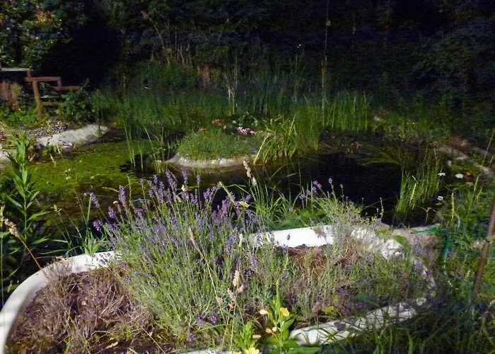 Villa-hufeland Апартаменты *