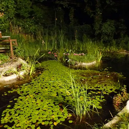 Villa-hufeland Apartment *