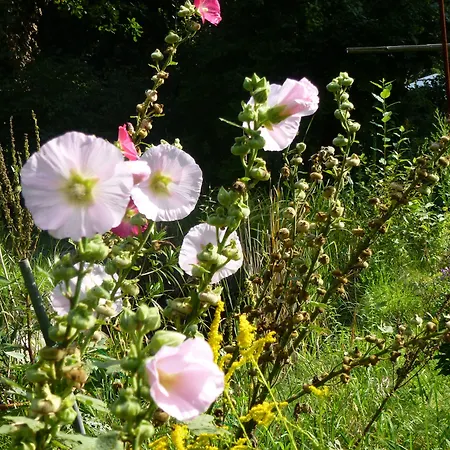 Villa-hufeland Apartamento