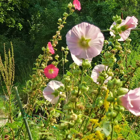 Villa-hufeland * Βερολίνο