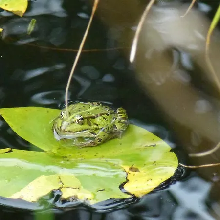 Villa-hufeland Apartamento