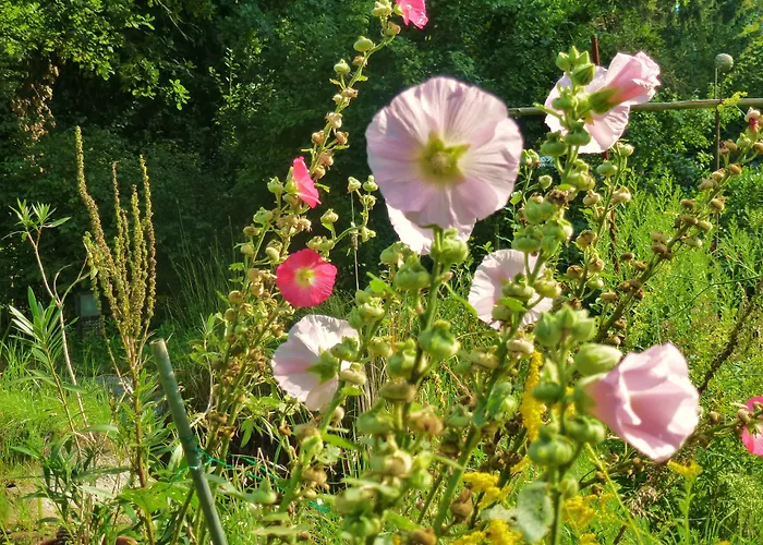 Villa-hufeland * Berlino