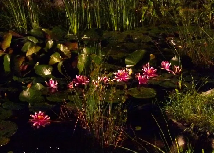 Appartamento Villa-hufeland