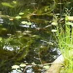 Villa-hufeland *