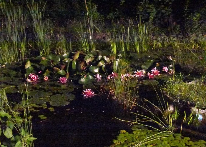 Villa-hufeland * Берлин